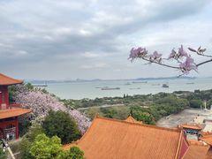 -南沙天后宫景区