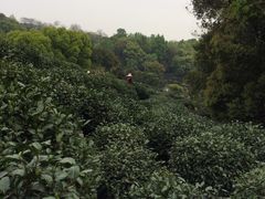 -西湖风景区十里琅珰-五云山