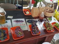 -马陆小张葡萄园农家乐