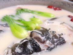 -几荷·恰似故人来(秀水广场店)