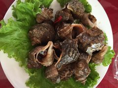 凉拌海螺-渔码头食府·20年蓬莱老字号(登州路店)