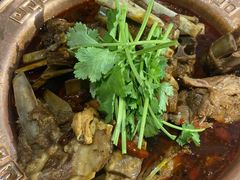 羊排蝎子锅-友乐居羊蝎子(西直门店)