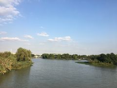-九里河湿地公园