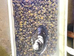 -八仔大富楼·河鲜(西江店)