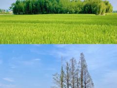-良渚古城遗址公园