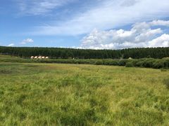 -塞罕坝国家级自然保护区