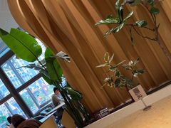 -Bco豆库(星耀天地店)