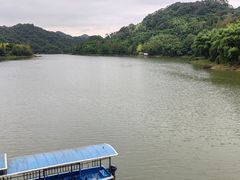 -土桥手掌鸡·26年灌县老味道(都江堰店)