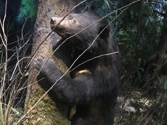 -陕西自然博物馆