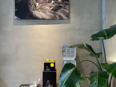 -野鸽子咖啡(中航店)