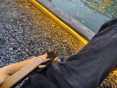 -DGE季风钓虾营地·团建·聚会