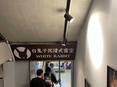 -白兔子密室(长寿路店)