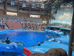 -海合安成都极地海洋公园