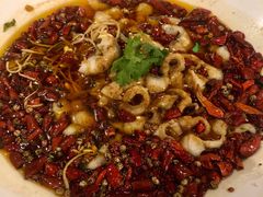 沸腾鱼-茉莉餐厅(包河万达店)