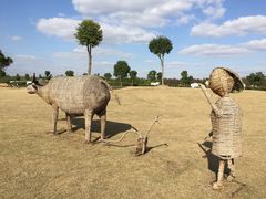 -明珠湖天鹅苑·农家菜馆