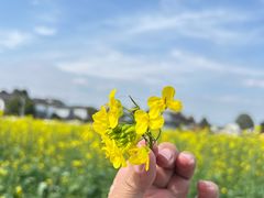 -桤木河湿地公园