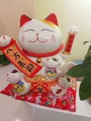 点击看大图 -阅年轻·AI家庭健康体质调理