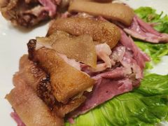-老绍兴养和饭店(向阳不夜城店)