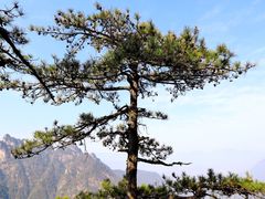 -大明山自然探索公园