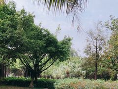 -深圳人才公园