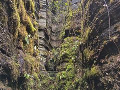 -梭布垭石林景区