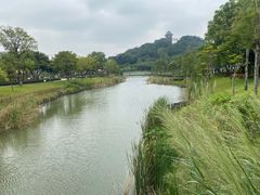 -王借岗森林公园