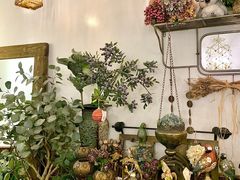 -春风·有糖(崇宁路店)