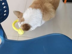 -平行世界·猫咖(首经贸店)