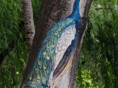 -呈贡滇池生态湿地公园