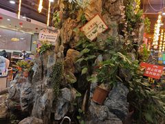 -丰圆轩粤式茶楼 . 点心粤菜(夏茅店)