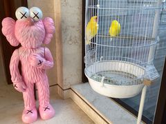 -上海崇明金茂凯悦酒店