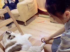 -白兔子密室(长寿路店)