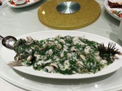 -蝶园·装修中(BFC外滩金融中心店)