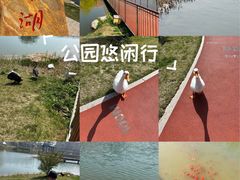 -大连理工大学(凌水校区)