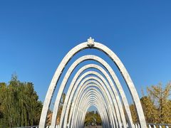 -大兴滨河森林公园