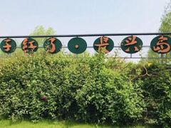 -前小桔亲子创意农场·草莓采摘·露营烧烤