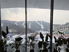 -亚布力新体委滑雪场