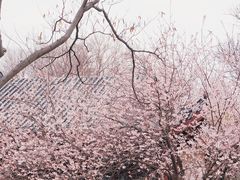 -堤角公园
