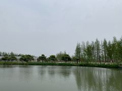 -乌村