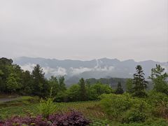 -梭布垭石林景区