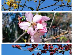 -文华公园(禅城区)