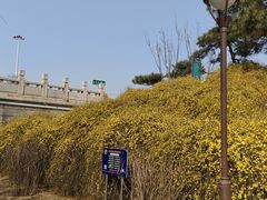 -元大都城垣遗址公园