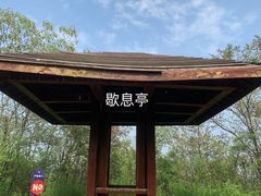 -桃花岭景区