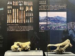 -贵州省博物馆(新馆)