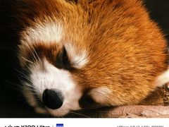 -红山森林动物园