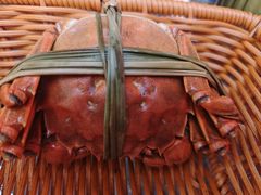 -品鲜村农家菜·阳澄湖大闸蟹(总店)