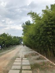 -上美四季动物农场