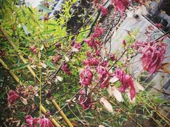 景点-西安关中民俗艺术博物院
