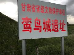 -山丹皇家马场