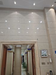 -碧莲盛·不剃发植发